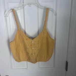 American Eagle Outfitters Cropped Tank Top